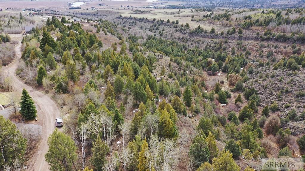 1703 Mountain Laurel Drive, ASHTON, Idaho image 7