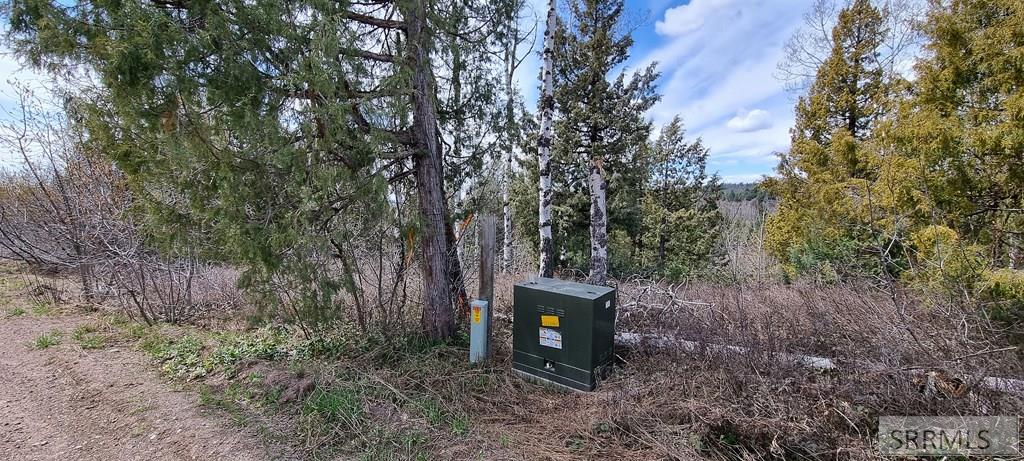 1703 Mountain Laurel Drive, ASHTON, Idaho image 6