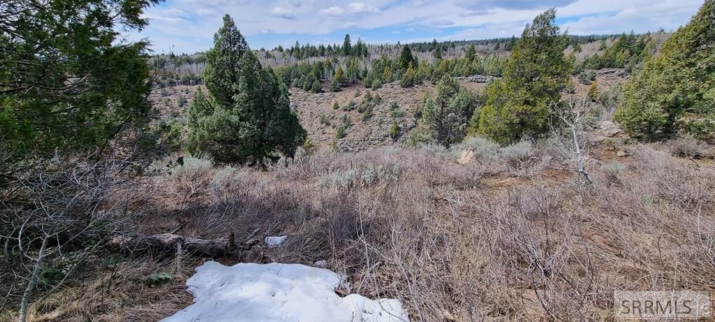 1703 Mountain Laurel Drive, ASHTON, Idaho image 5