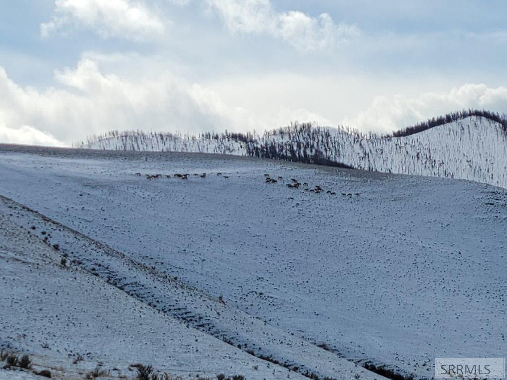 TBD Hill Road, NORTH FORK, Idaho image 49