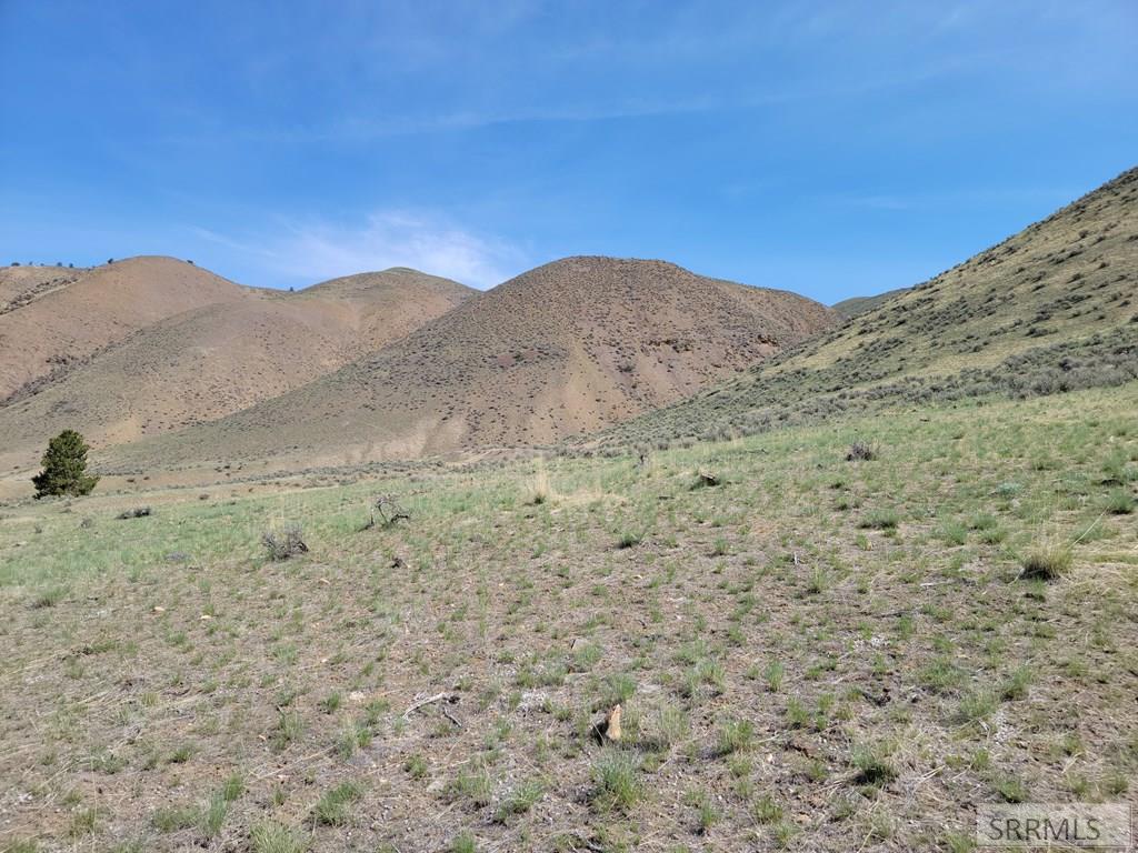 TBD Hill Road, NORTH FORK, Idaho image 15