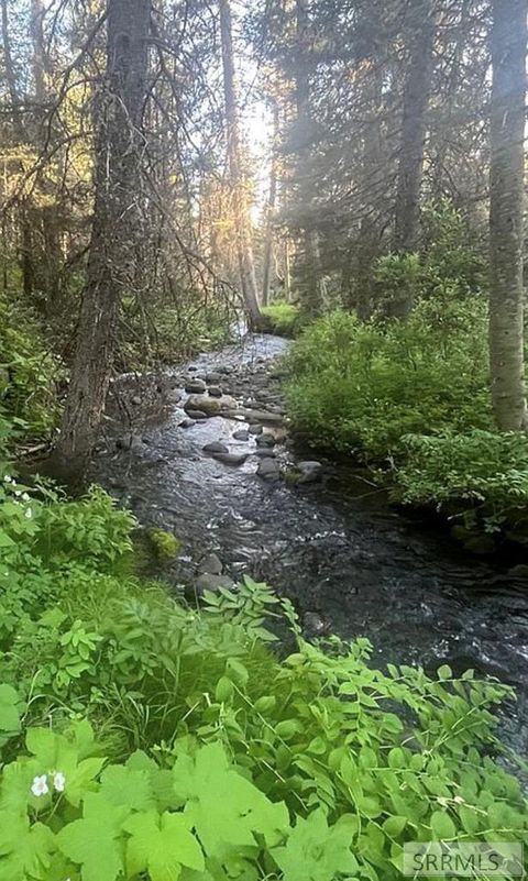 Photo of 4147 Pine Crest Drive, ISLAND PARK, ID 83429 (MLS # 2180081)