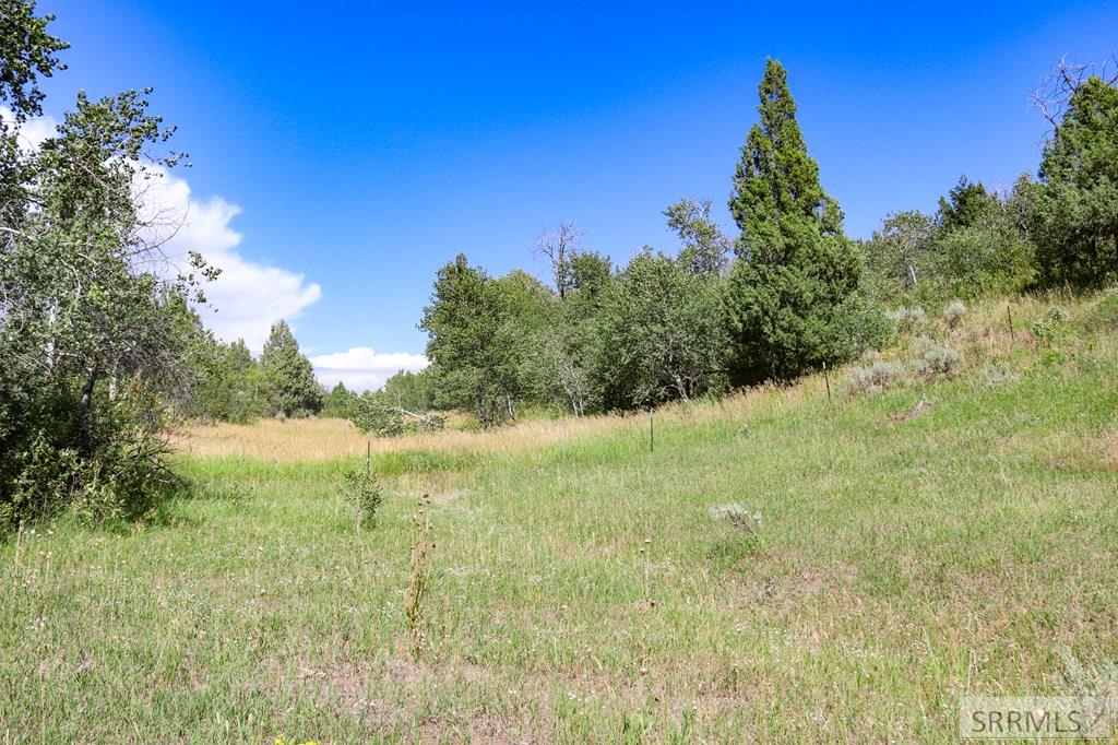 1780 Sadorus Hill Road, ASHTON, Idaho image 17