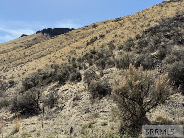 NKN Chukar Circle, SALMON, Idaho image 4