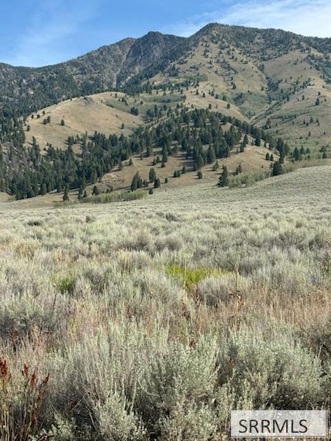 Vacant Land For Sale - 3690 Targhee Circle<br/> ISLAND PARK, ID 83429