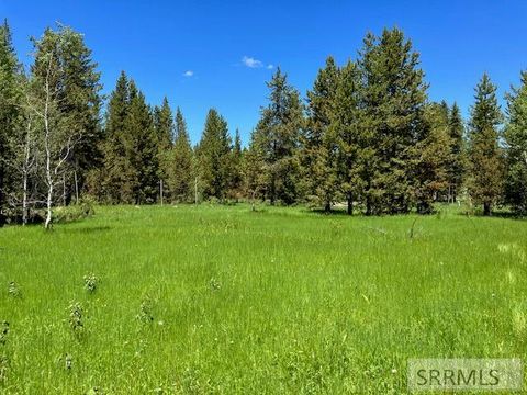 Photo of 2840 Morning Dew Drive, ISLAND PARK, ID 83429 (MLS # 2182330)
