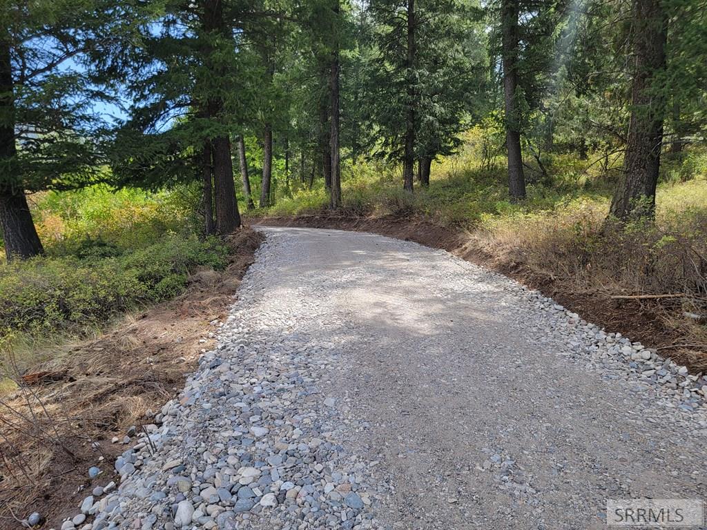 L31&32 Cutthroat Run, IRWIN, Idaho image 6