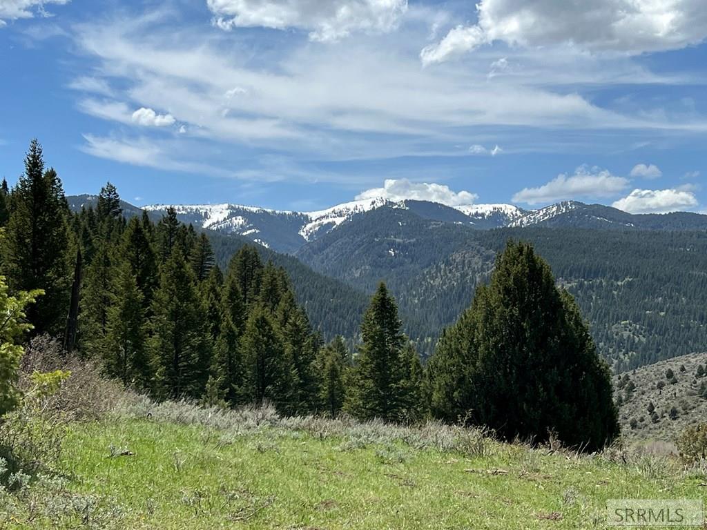 L31&32 Cutthroat Run, IRWIN, Idaho image 4