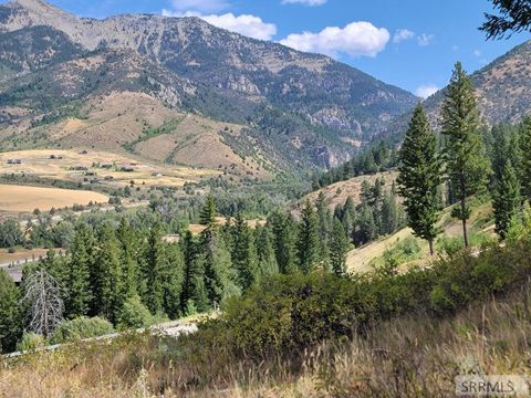 Vacant Land For Sale - L31&32 Cutthroat Run<br/> IRWIN, ID 83428