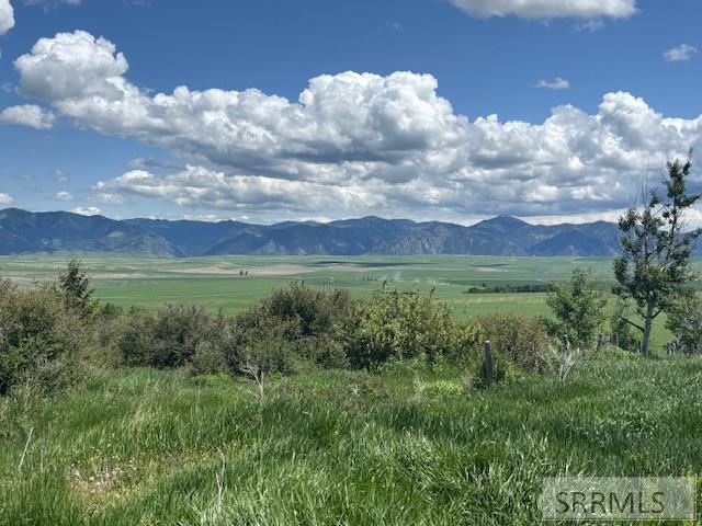 60.8 Swan Valley Hwy, RIRIE, Idaho image 1