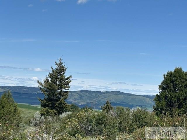60.8 Swan Valley Hwy, RIRIE, Idaho image 22