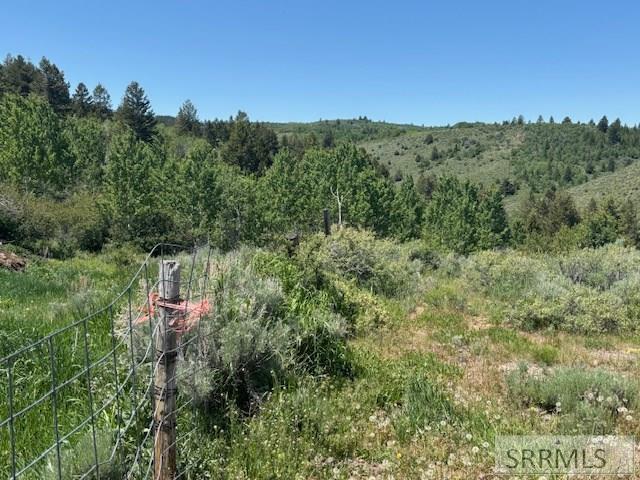 60.8 Swan Valley Hwy, RIRIE, Idaho image 17