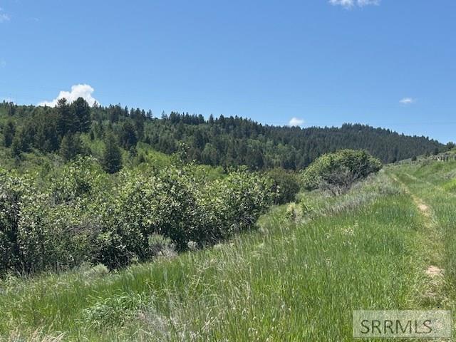 60.8 Swan Valley Hwy, RIRIE, Idaho image 36