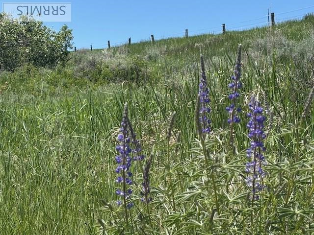 60.8 Swan Valley Hwy, RIRIE, Idaho image 28