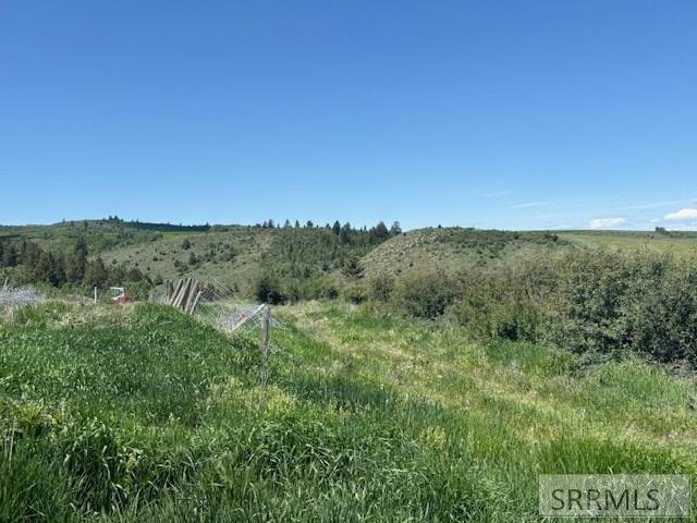 60.8 Swan Valley Hwy, RIRIE, Idaho image 15