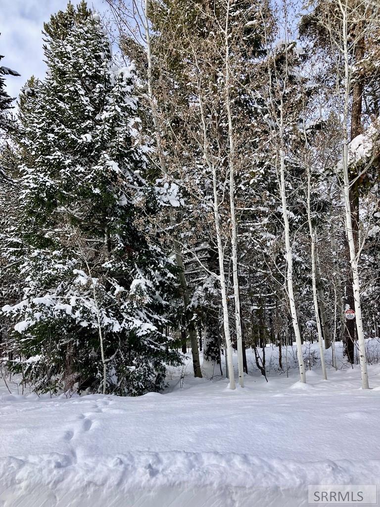 TBD Annies Landing, ASHTON, Idaho image 18