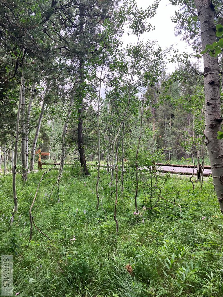 TBD Annies Landing, ASHTON, Idaho image 6