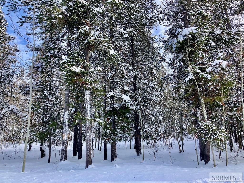 TBD Annies Landing, ASHTON, Idaho image 13