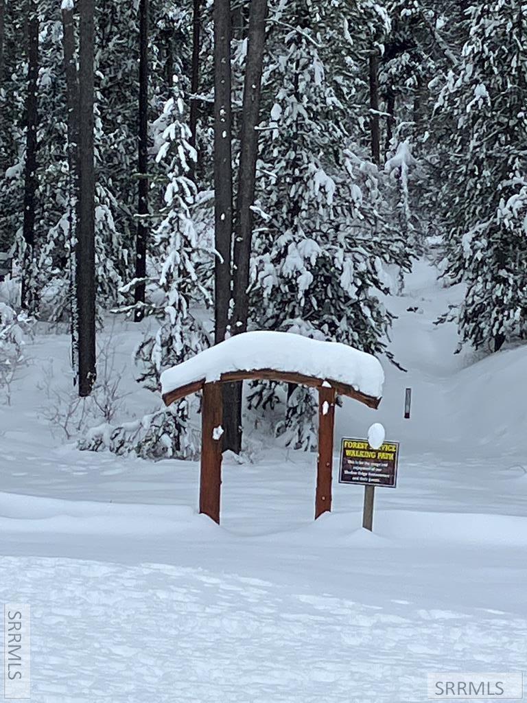 TBD Annies Landing, ASHTON, Idaho image 29