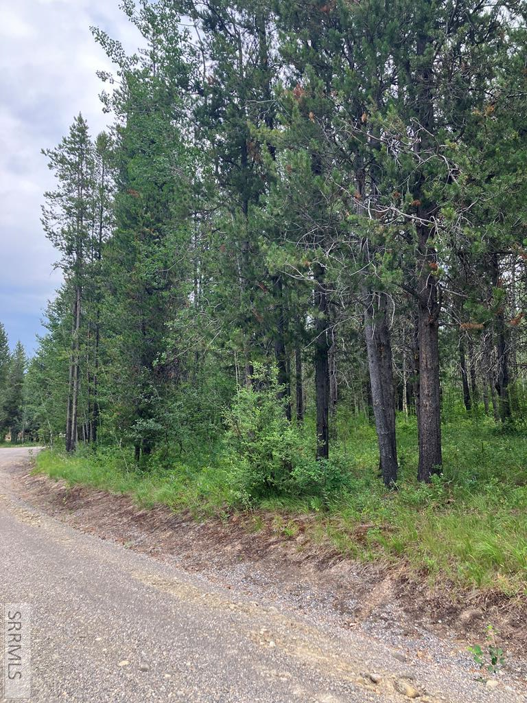TBD Annies Landing, ASHTON, Idaho image 4