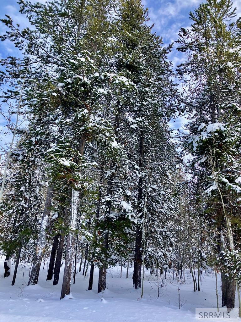 TBD Annies Landing, ASHTON, Idaho image 2