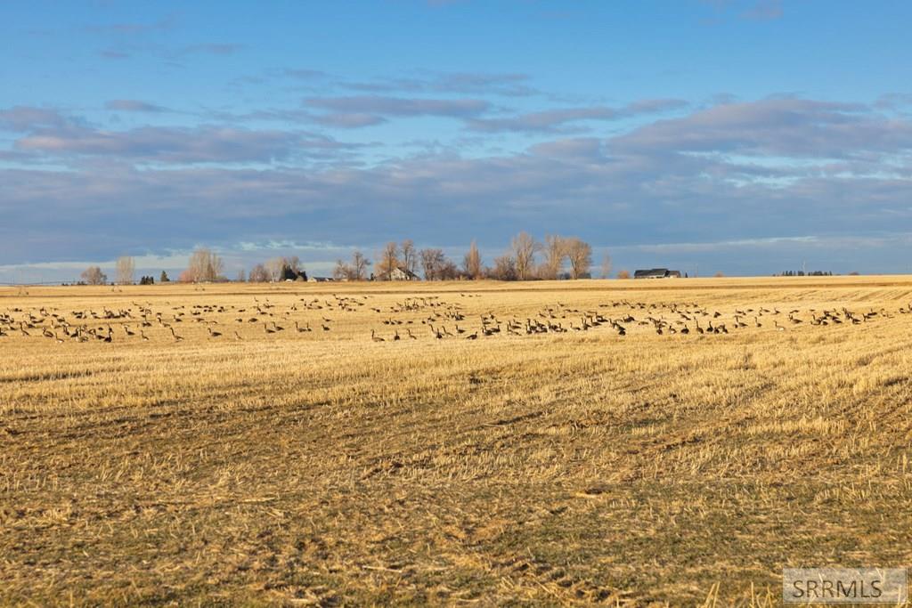 TBD E River Road, FIRTH, Idaho image 7