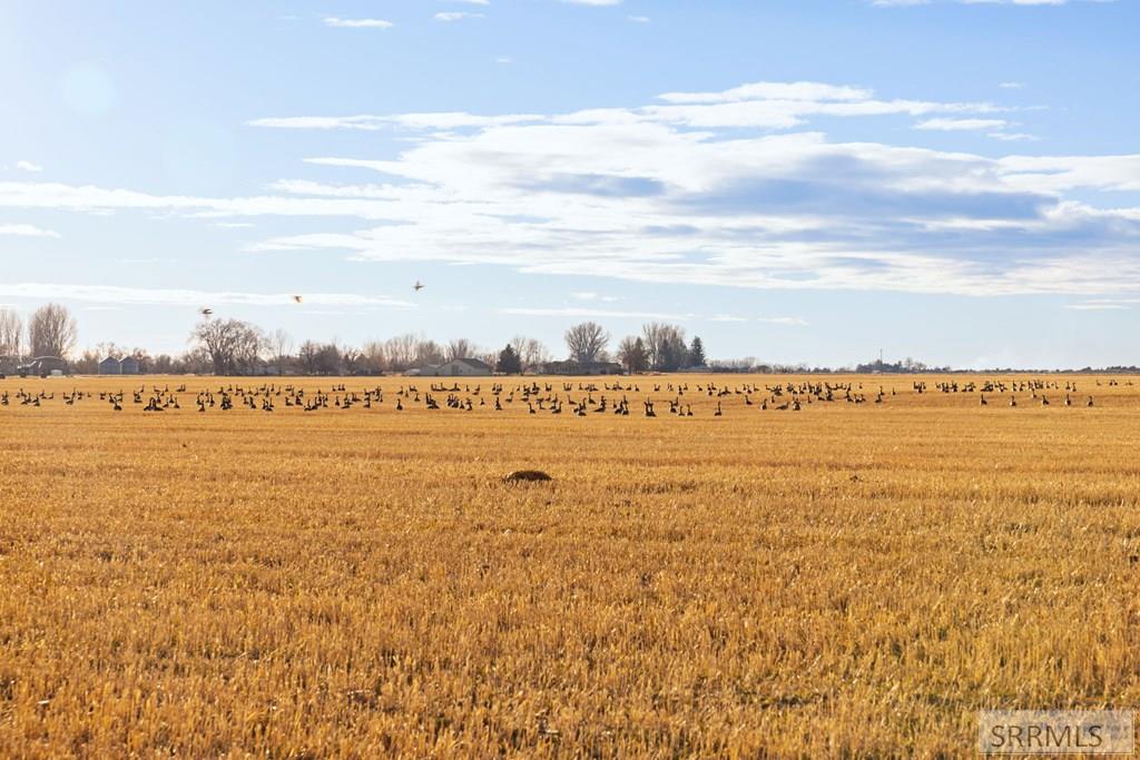 TBD E River Road, FIRTH, Idaho image 5