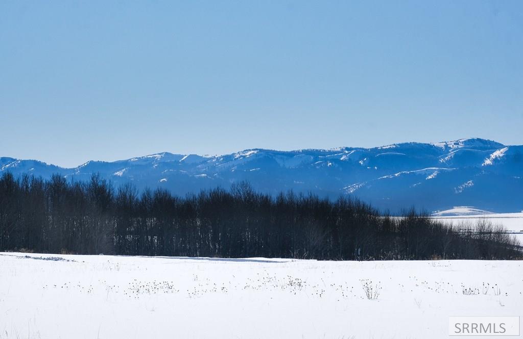 9654 Buck Town Blvd, TETONIA, Idaho image 30
