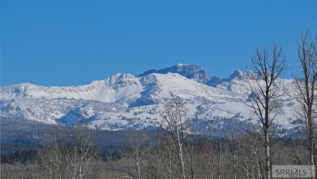 9654 Buck Town Blvd, TETONIA, Idaho image 10