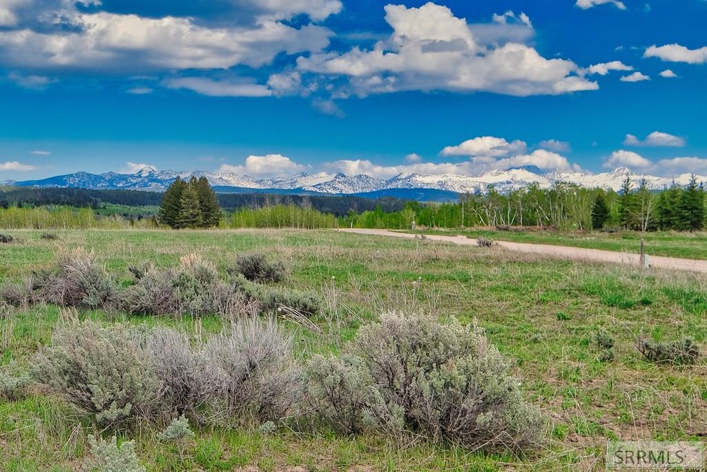 9654 Buck Town Blvd, TETONIA, Idaho image 20