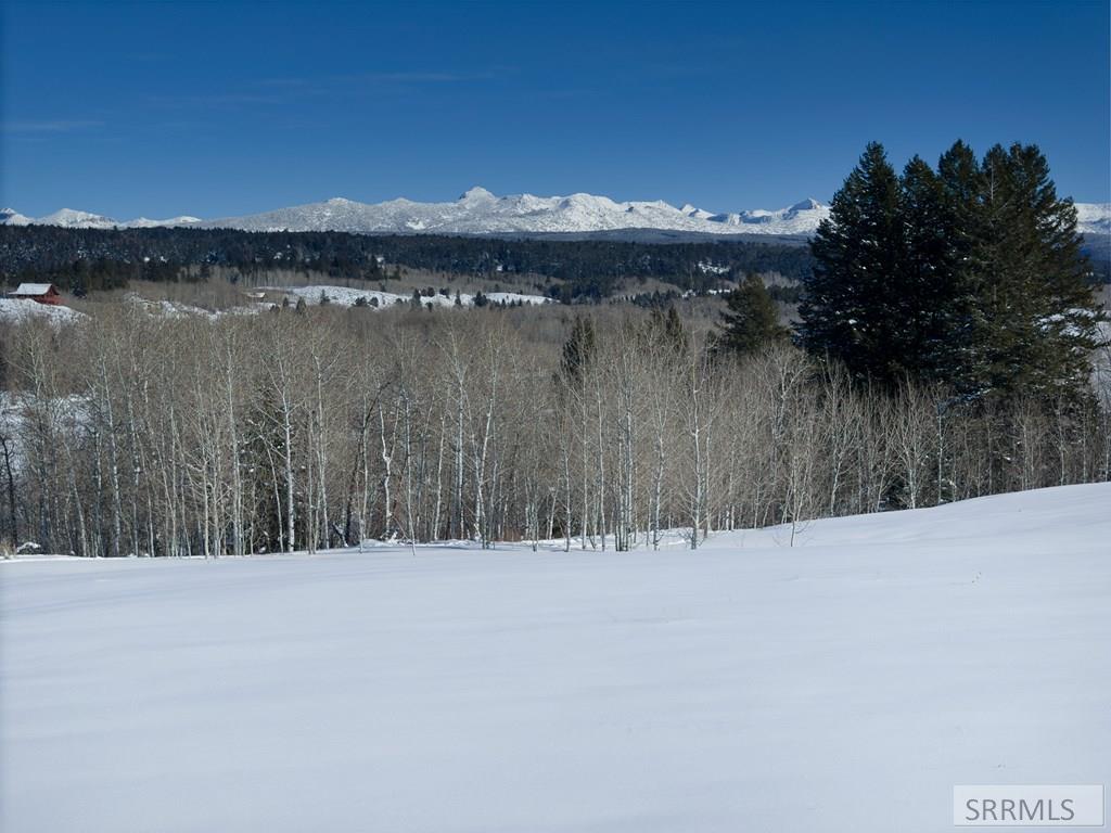 9654 Buck Town Blvd, TETONIA, Idaho image 8