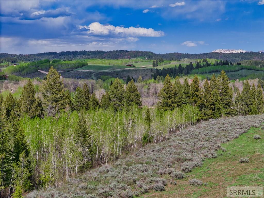 9654 Buck Town Blvd, TETONIA, Idaho image 22