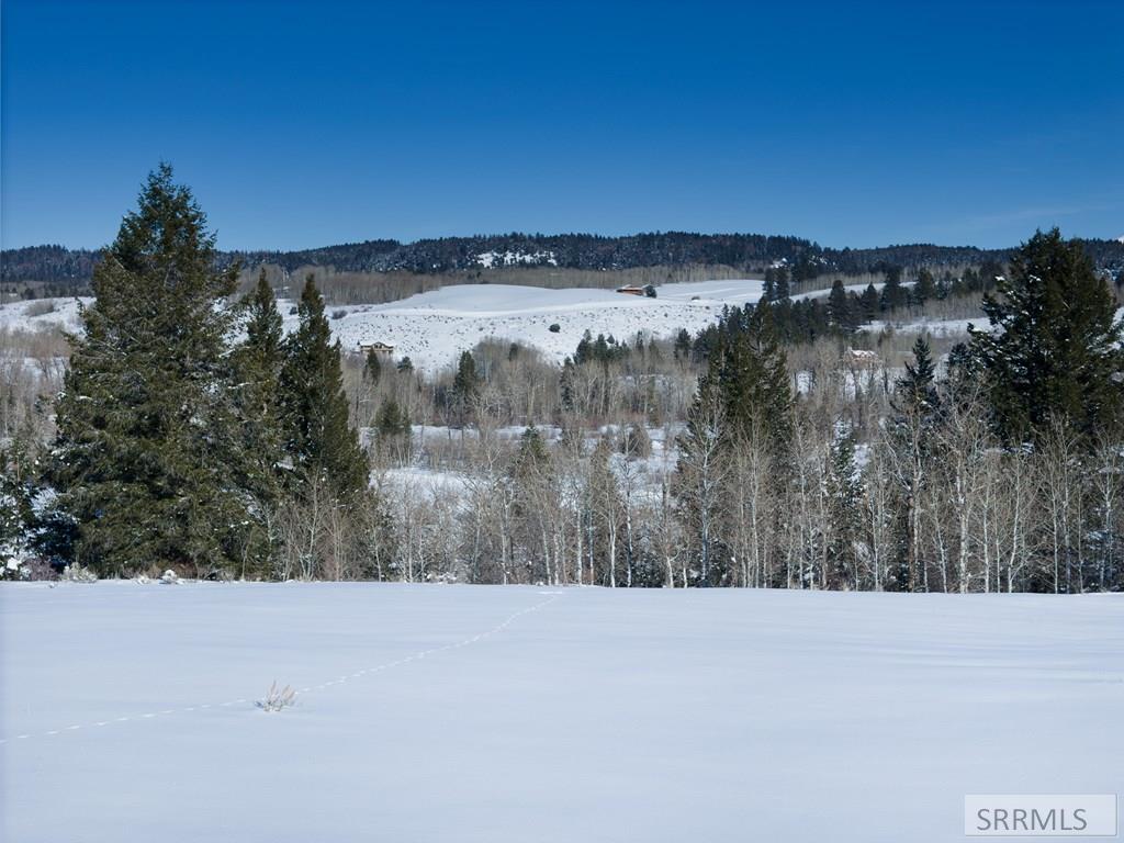 9654 Buck Town Blvd, TETONIA, Idaho image 9