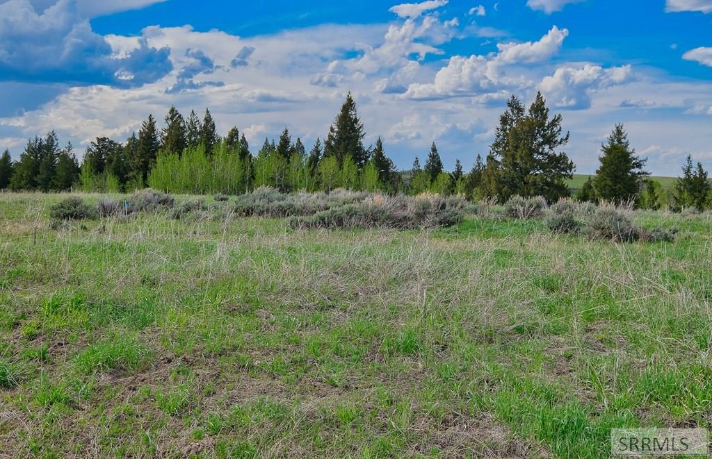 9654 Buck Town Blvd, TETONIA, Idaho image 19