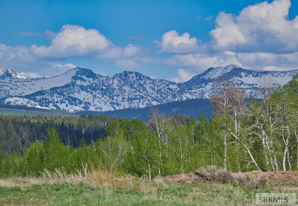 9654 Buck Town Blvd, TETONIA, Idaho image 25