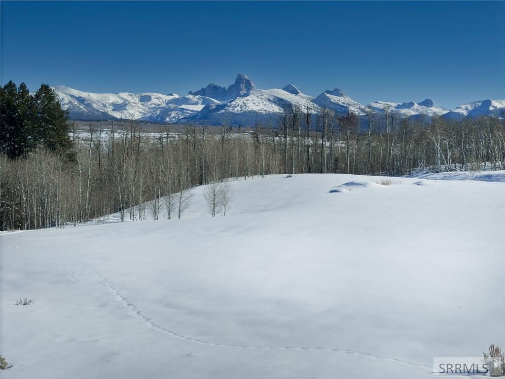 9654 Buck Town Blvd, TETONIA, Idaho image 1