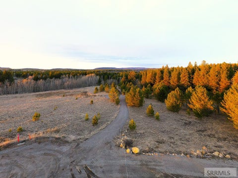 Vacant Land For Sale - 4449 E Grey Owl Drive<br/> ASHTON, ID 83420
