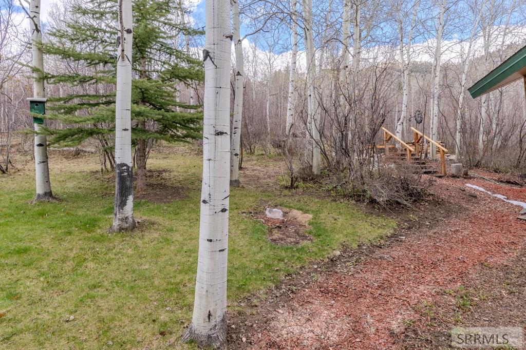 3889 Lake Breeze Drive, ISLAND PARK, Idaho image 47