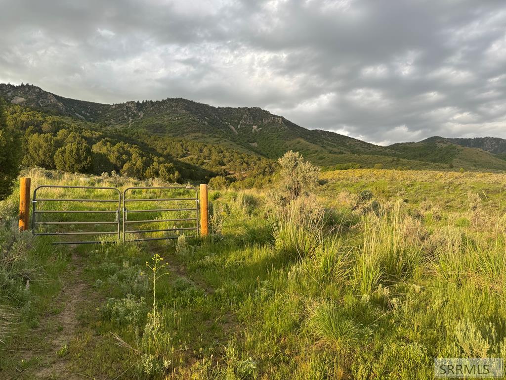 TBD Quail Way, LAVA HOT SPRINGS, Idaho image 1