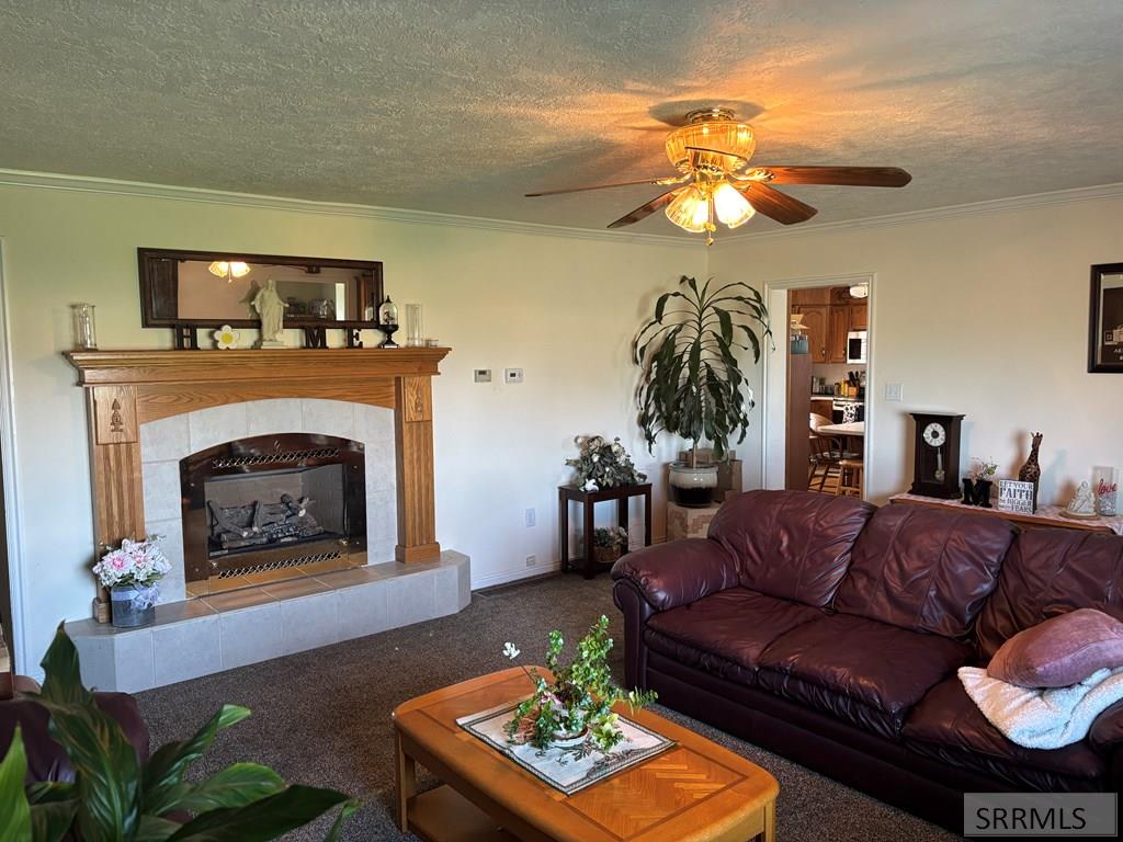 194 N 3600 E, RIGBY, Idaho image 11