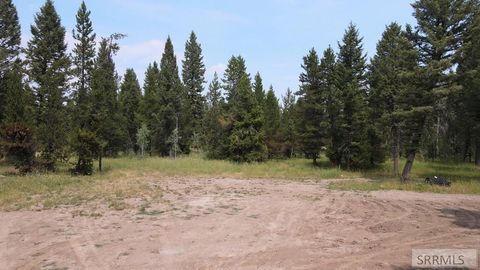 Vacant Land For Sale - 2831 Morning Dew Drive<br/> ISLAND PARK, ID 83429
