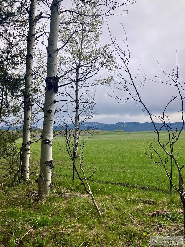 4012 Antelope Road, ISLAND PARK, Idaho image 2