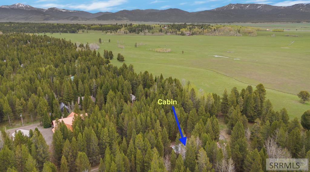 4012 Antelope Road, ISLAND PARK, Idaho image 4