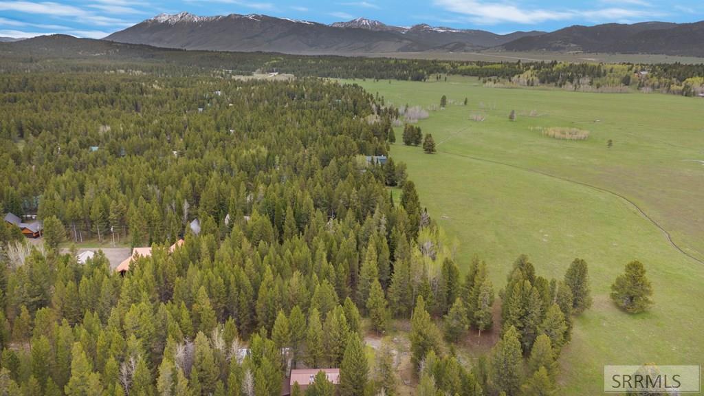 4012 Antelope Road, ISLAND PARK, Idaho image 5