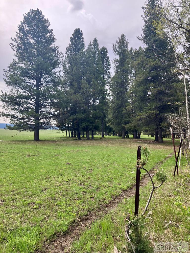 4012 Antelope Road, ISLAND PARK, Idaho image 46