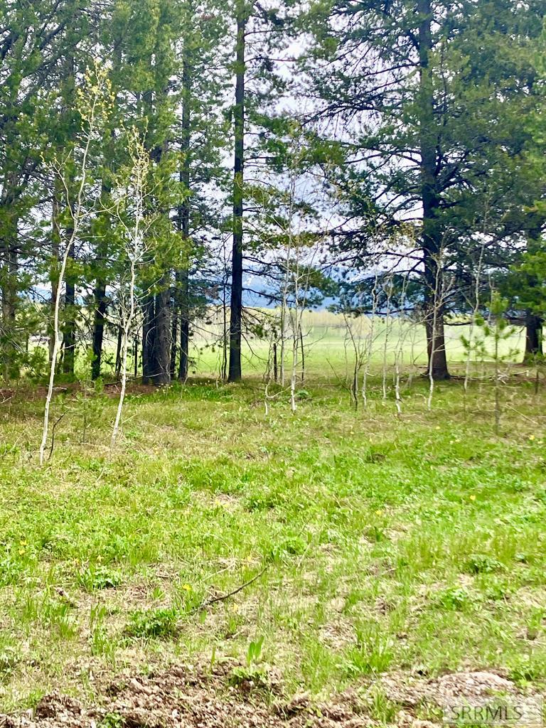 4012 Antelope Road, ISLAND PARK, Idaho image 39