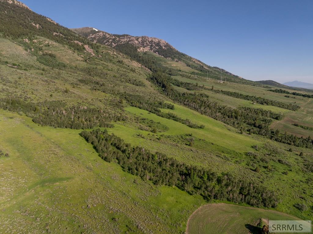 TBD Lower Rock Creek Road, INKOM, Idaho image 7