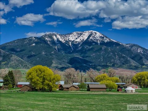 Homes For Sale - 36 Trumpeter Road<br/> SWAN VALLEY, ID 83449