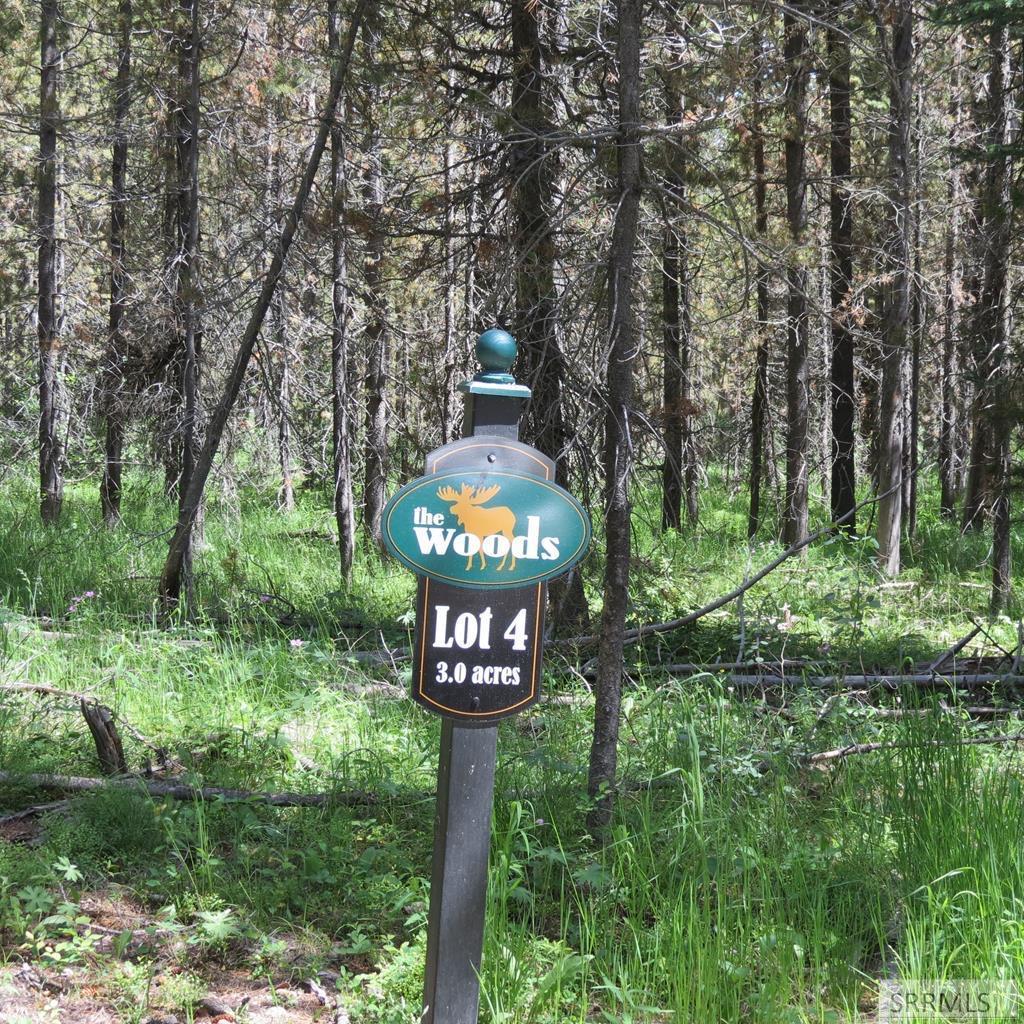 4063 Wood Lane, ISLAND PARK, Idaho image 2