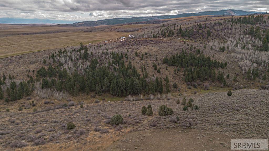 60.8 AC Swan Valley Hwy, RIRIE, Idaho image 28